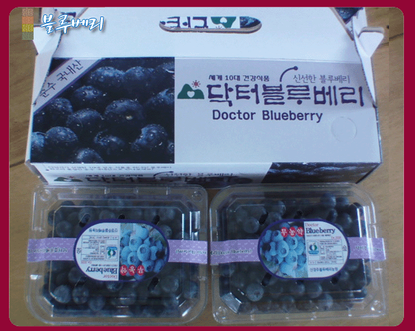 blueberry_2.gif